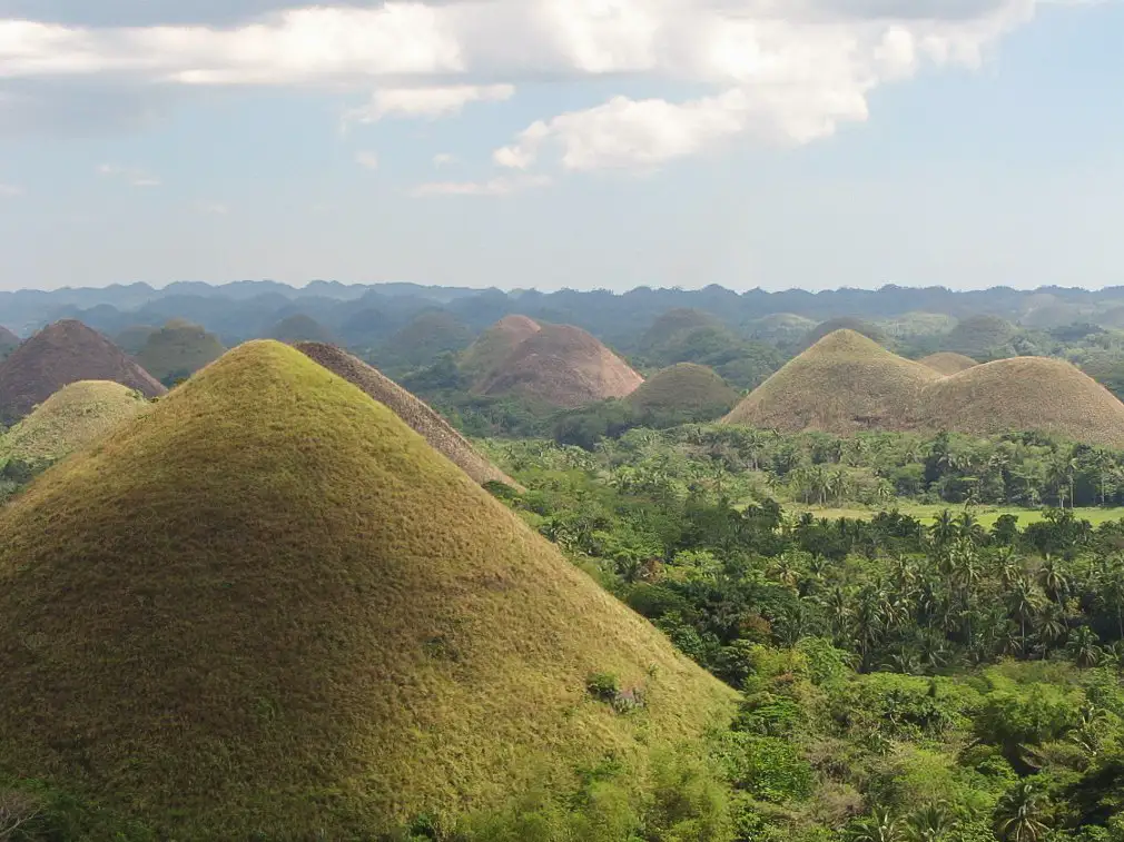 Más de mil colinas cónicas de piedra caliza que se tiñen de marrón en temporada seca, un paisaje único en el mundo.