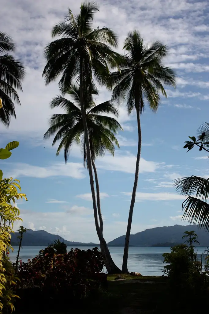 La laguna de agua salada más grande del mundo, con jardines de coral de altísima biodiversidad y aldeas tradicionales accesibles en canoa.