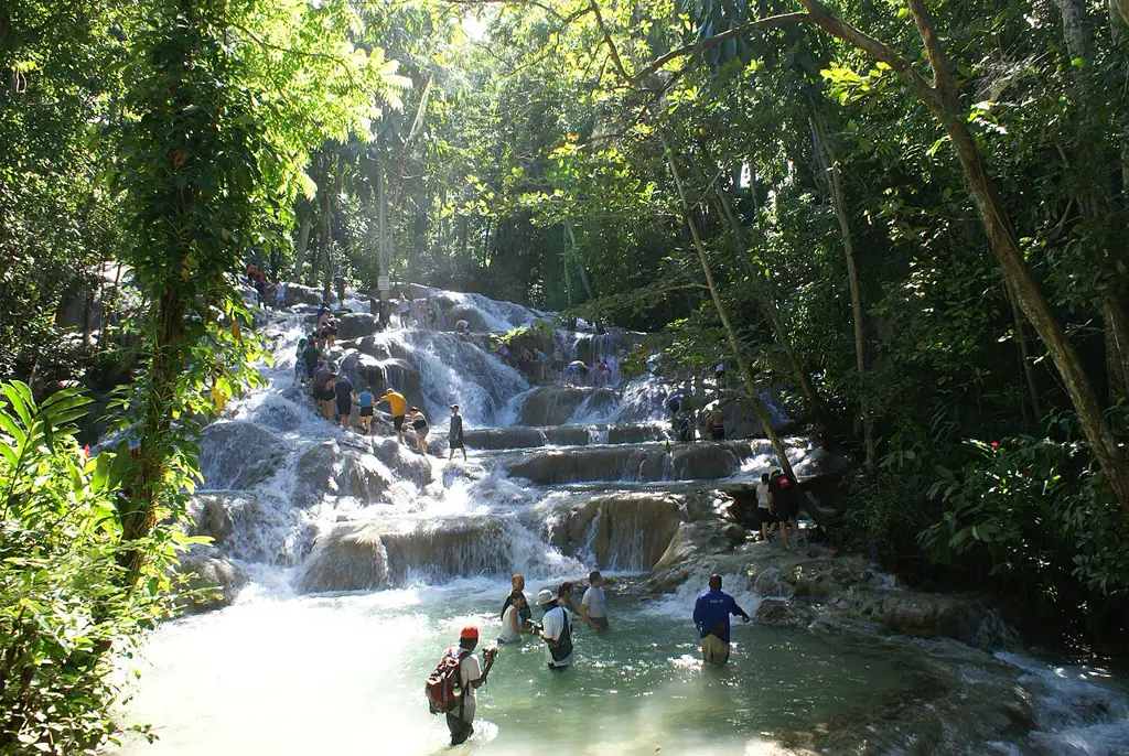 Cascada escalonada de piedra caliza en Ocho Ríos que se puede subir tomados de la mano en grupo, una de las postales más icónicas del Caribe.