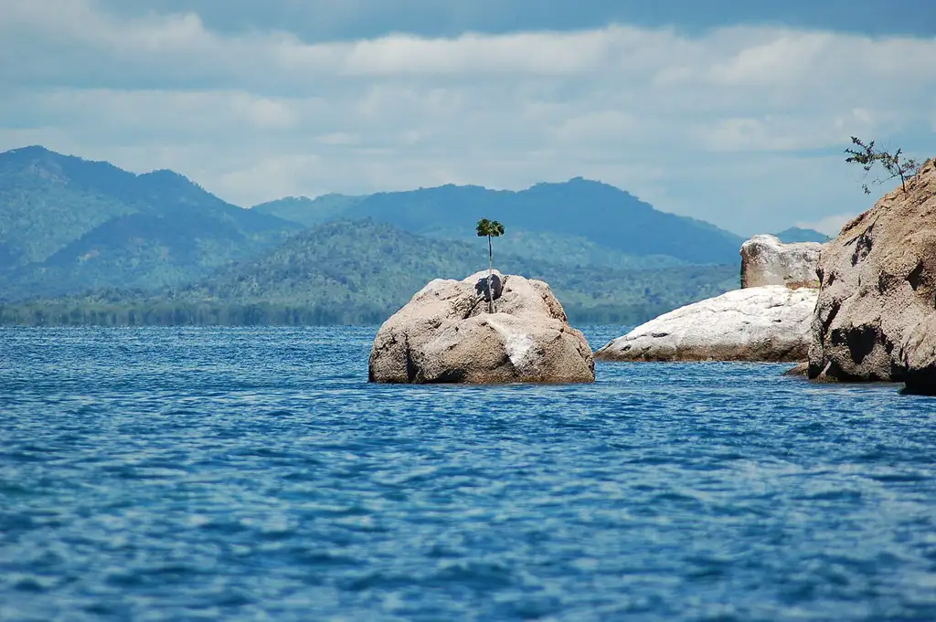 Enorme lago de agua dulce con playas de arena y una biodiversidad de peces cíclidos única en el mundo, ideal para el buceo de superficie en Cabo Maclear.