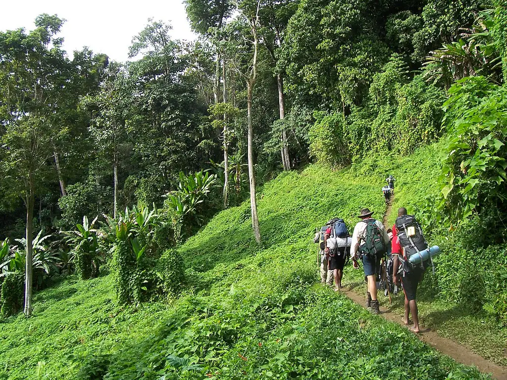 Ruta de trekking de 96 kilómetros a través de la cordillera Owen Stanley, escenario de una campaña clave de la Segunda Guerra Mundial entre tropas australianas y japonesas.