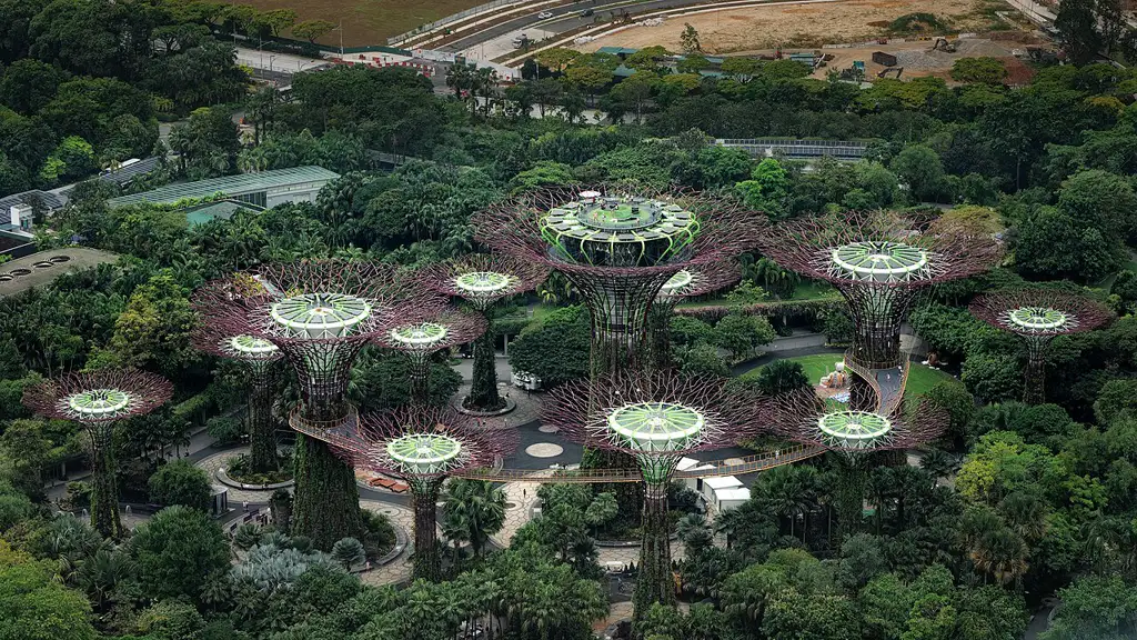 Parque futurista con los icónicos Supertrees iluminados y cúpulas de conservación de flora de distintos climas.